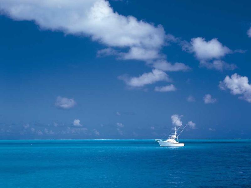 Advanced consulting for Travel & Tourism